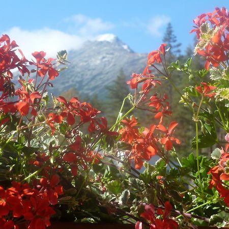 Erika Penzion Vysoké Tatry Extérieur photo